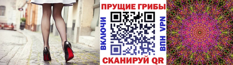 сколько стоит  Абаза  Псилоцибиновые грибы GOLDEN TEACHER 